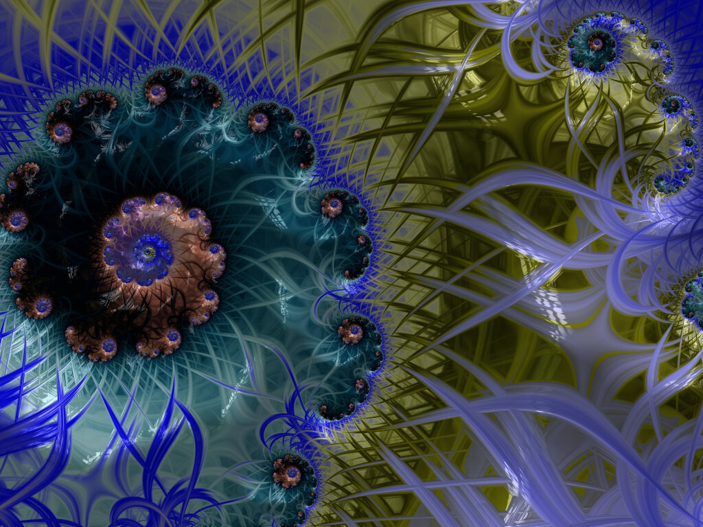 Viral Attraction