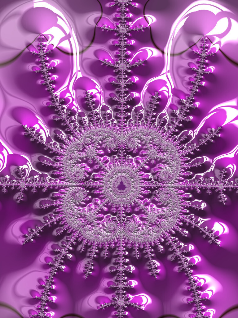 Viola