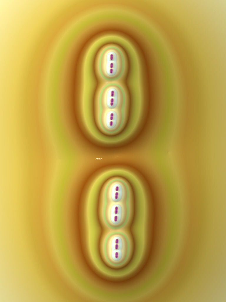 Double