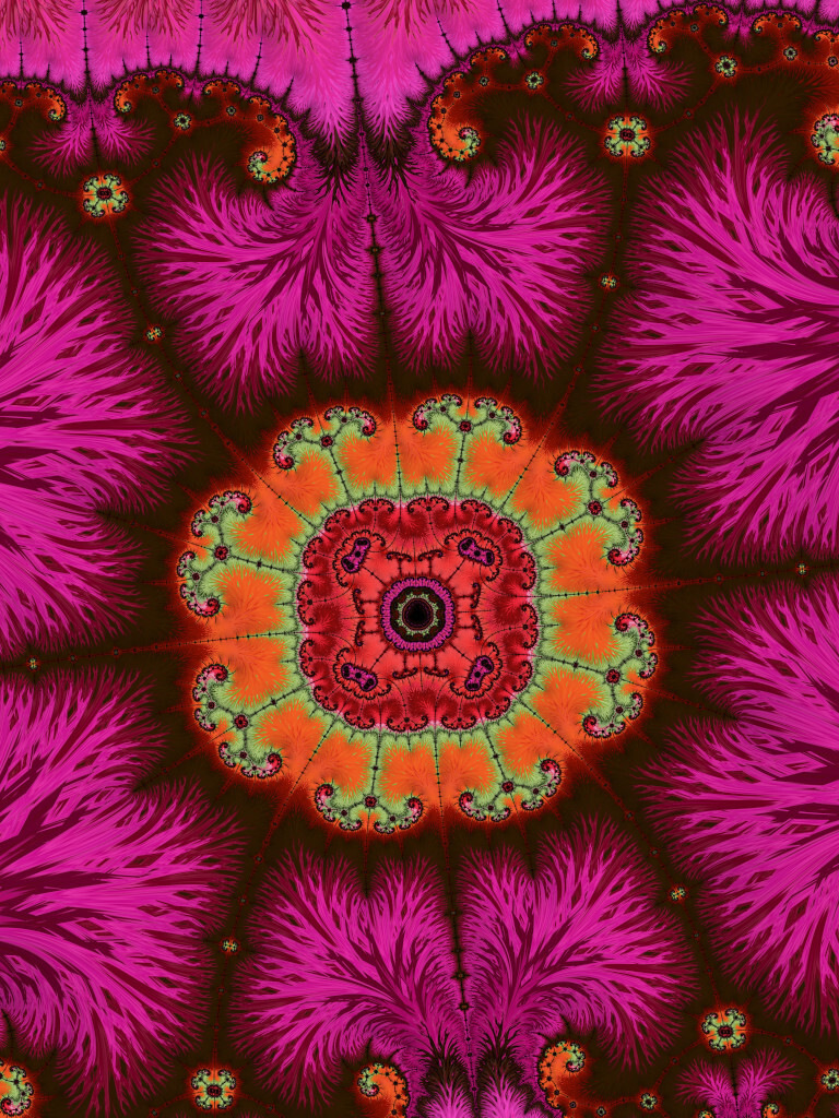 Impatiens
